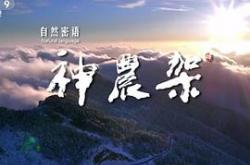 自然密语：神农架MP4格式