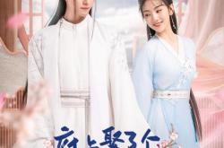 府上娶了个锦鲤新娘MP4格式