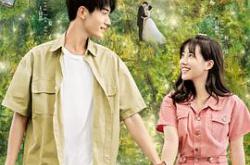 夏日不宜入爱河MP4格式