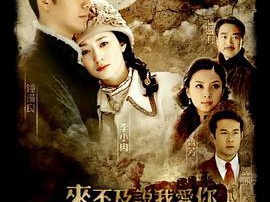 来不及说我爱你MP4格式