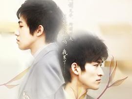 一起又看流星雨MP4格式