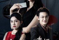 夫人您的专机飞走了