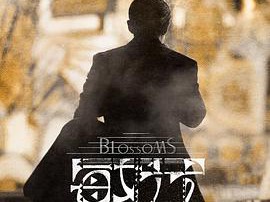 繁花普通话版MP4格式