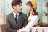 全世界都不如你MP4格式