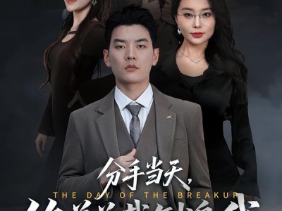 分手当天，绝美总裁倒追我