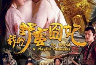 我的野蛮囧妃