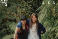 森林的终点是海