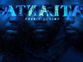 亚特兰大第二季