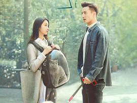 地球脸红了MP4格式