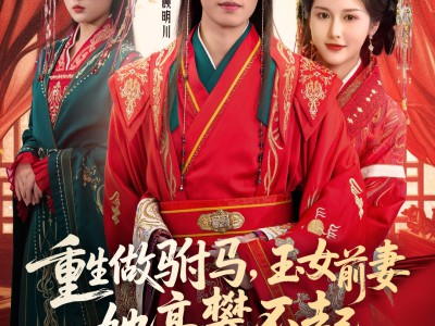 重生做驸马，玉女前妻她高攀不起