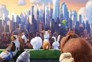 爱宠大机密国语