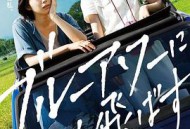 在蓝色时分飞翔