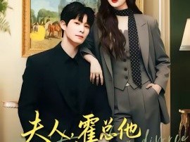 夫人，霍总他真不想离婚