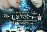 我们无处安放的青春MP4格式