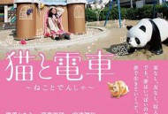 猫与电车