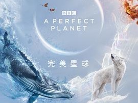 完美星球