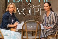 狐狸女士第二季