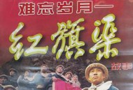 难忘岁月——红旗渠的故事MP4格式