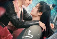 与君初相识·恰似故人归MP4格式