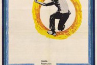 阳光下的葡萄干