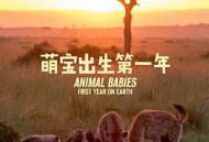 萌宝出生第一年