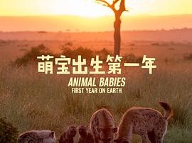 萌宝出生第一年