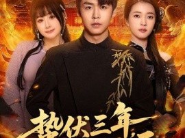 蛰伏三年，一飞冲天