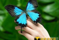 盘点中国民间传说中的十大惊人秘术_灵异鬼话