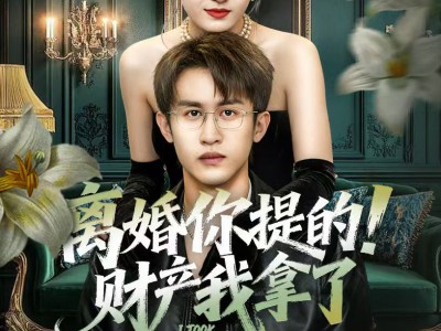 离婚你提的！财产我拿了