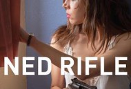 内德的步枪