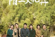 陌上又花开MP4格式