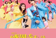 西园寺小姐不做家务