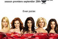 绝望主妇 第五季