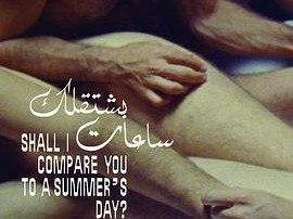 我用夏天比拟你