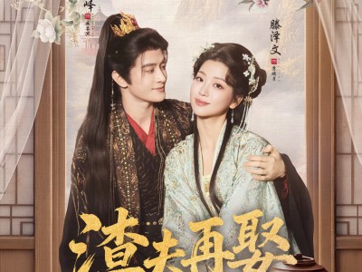 渣夫再娶，医妃风华定乾坤