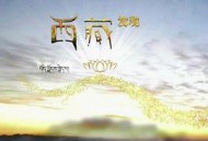 西藏发现MP4格式