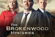 断林镇谜案第九季