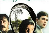 佩特雷加的花环