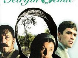 佩特雷加的花环