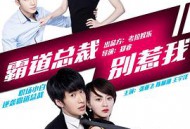 霸道总裁别惹我