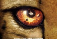 我们的浩瀚宇宙