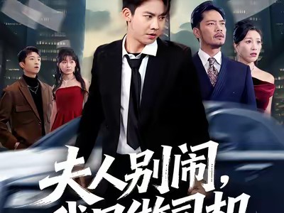 夫人别闹我只做司机