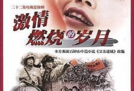 激情燃烧的岁月MP4格式