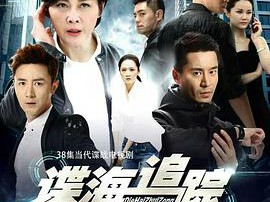 谍海追踪MP4格式