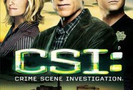 犯罪现场调查 第十三季