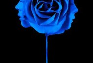 我知道谁杀了我