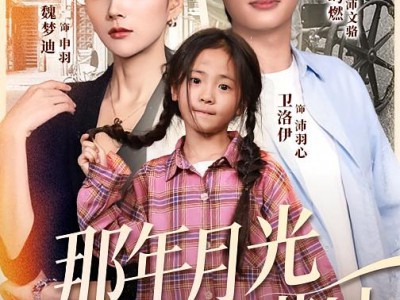 那年月光落满地