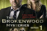 断林镇谜案第八季