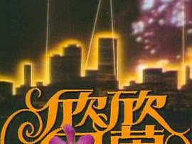 欣欣向荣MP4格式