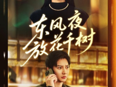 东风夜放花千树